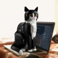 High Brick Version of Tuxedo Cat