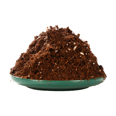 寄居蟹专用椰土免泡发