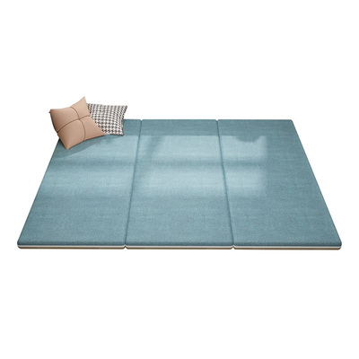 双面榻榻米垫子可拆洗椰棕四季