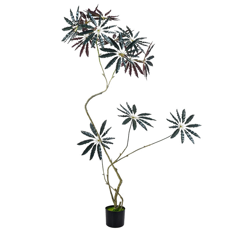 高级感孔雀木仿真绿植摆件