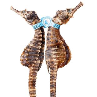 海马干货公母大海马配对干增炖高汤泡酒海龙海马煲汤非中药材