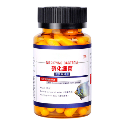 硝化细菌鱼缸专用胶囊净水活菌