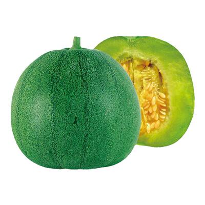 绿宝石9号甜瓜种子春季