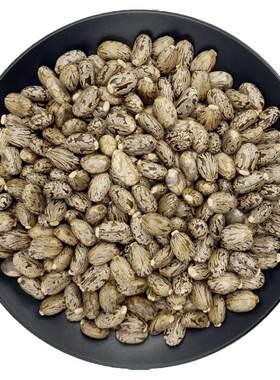 新货黑皮蓖麻子干货农产品