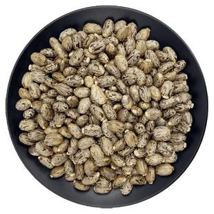 蓖麻子中药材蓖麻籽蓖麻子蓖麻仁篦麻子大麻子萆麻子粉大粒新干货