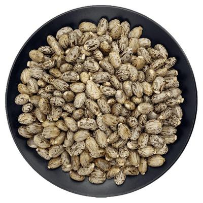 新货黑皮蓖麻子手工拣选