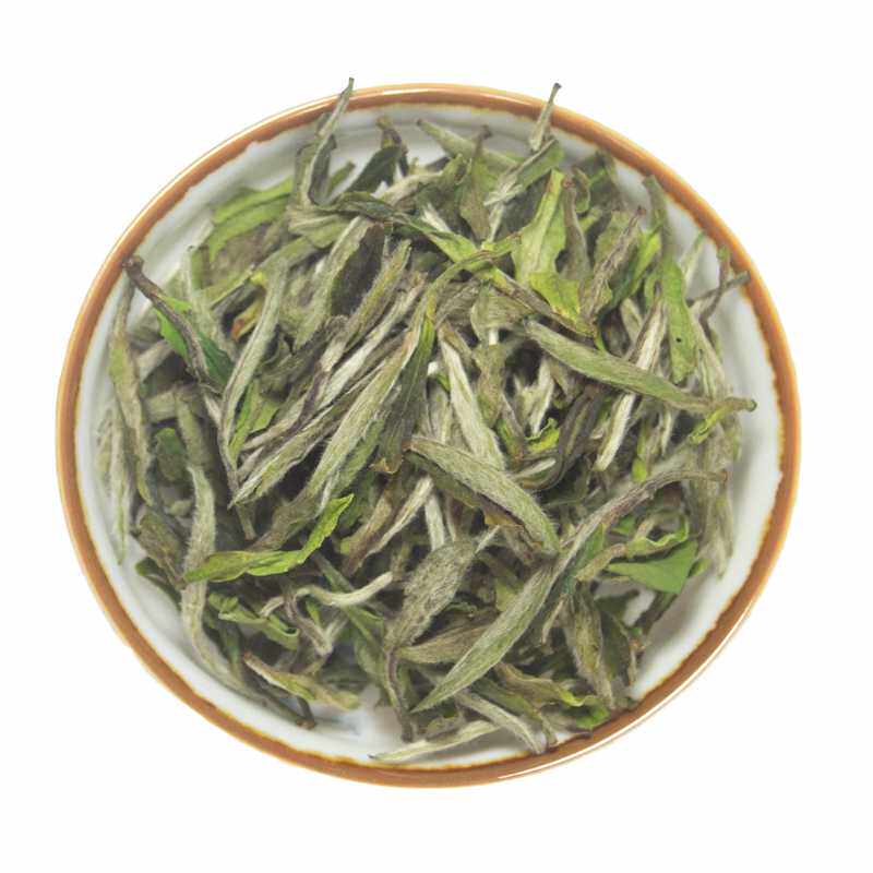 白牡丹散茶花香高山福鼎白茶