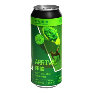 5月产 惠同学 大九酿造 降临浑浊IPA世界杯版500ml 国产精酿 啤酒