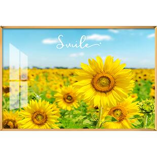 现代餐厅电表箱装饰画向日葵挂画太阳花电闸盒弱电箱遮挡2026新款