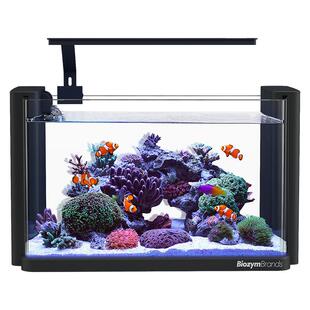 百因美释鱼小灯龙桌面小鱼缸小型客厅家用艺术茶台工位小鱼缸超白