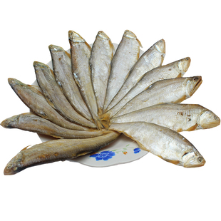 新鲜大号咸马口鱼干2500g鲜咸黄鲫鱼毛扣鱼薄片鱼油口簿鲫鱼包邮