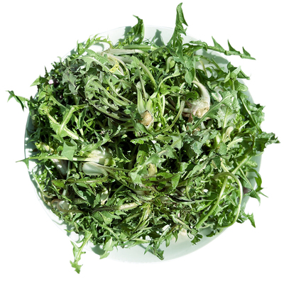 东北新鲜婆婆丁山野菜500g包邮