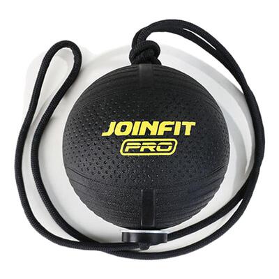 JOINFIT绳索药球康复甩球