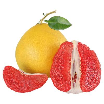 福建平和琯溪红心柚子红肉蜜柚薄皮官溪当季水果沙地漳州平和蜜柚