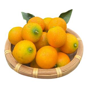 广西融安脆皮金桔特产季纯甜蜜小金柑桔金橘过年送礼盒装