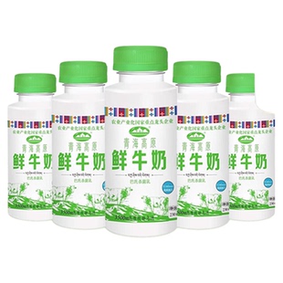 青海湖青海高原鲜牛奶230/500ml瓶巴氏杀菌成人儿童低温高原鲜奶