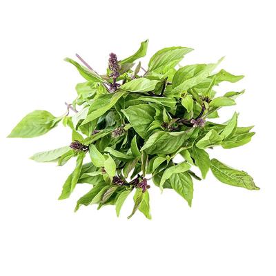 新鲜九层塔三杯鸡冬阴功材料