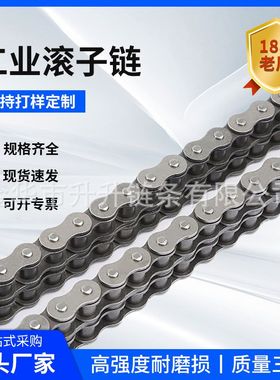 现货批发传动滚子链条10B12B16B20B32B40B56B48B单排双排工业链条