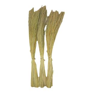 贵州香糯米禾杆稻草 绑霉豆腐端午烧灰水绑粽子 编织草芯稻谷草心