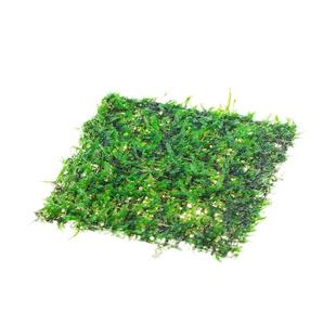 鱼官儿生态水藻球三角莫斯片懒人阴性水草植物紫柚珊瑚木造景沉木