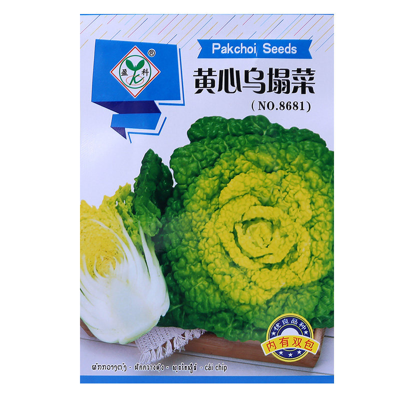 四季耐寒奶油黄心乌塌菜种子黄金乌塔青菜子大全蔬菜种籽春秋冬季