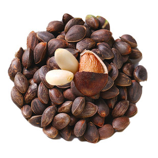 云南深山落水松子500g散装新鲜生的薄皮薄壳新货孕妇大松籽松树坚