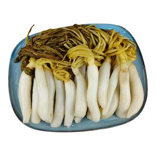 广西特产灵山新鲜萝卜菜农家自制爽口咸菜水浸菜尾萝卜缨整根速发