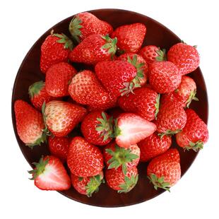 草莓苗红颜章姬四季盆栽南方露天脱毒带土奶油牛奶秧苗种子种籽子