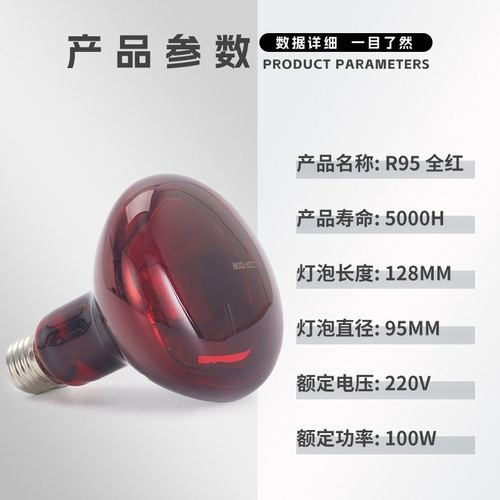 红外线灯泡本料100W美容美容院烤灯取暖孵化灯两栖动物太空舱