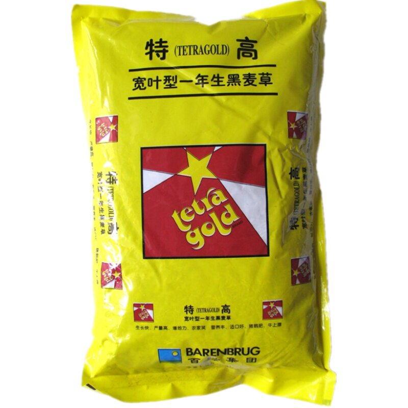 精装特高宽叶四倍体黑麦草种子  南北方牧草籽正包邮