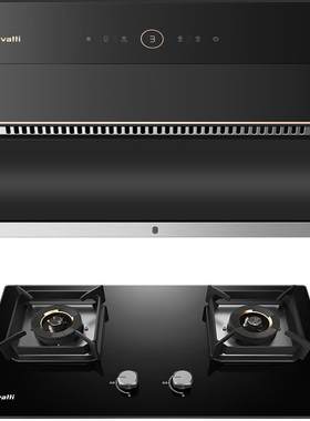华帝169+301自动洗烟灶套装