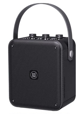 琅韵D91乐器音箱拾音器古筝古琴二胡专用无线扩音器专业蓝牙音响