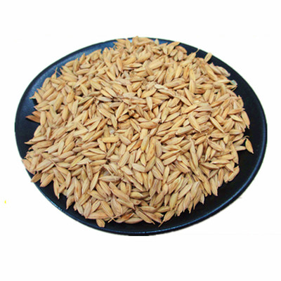 五常带壳大米新稻谷原产地发货