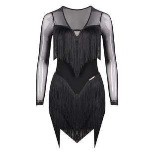 DANCEBABY拉丁舞裙成人女练功舞服新款高级感流苏长袖连衣裙YD388