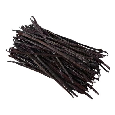 马达加斯加BURXIN原产地直销