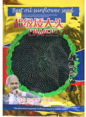 美国矮大头油葵花籽春夏季种子
