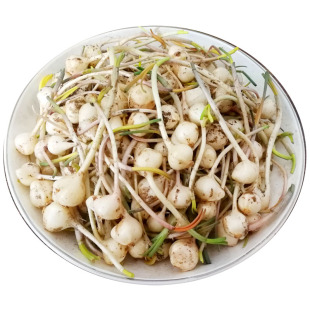 26年新货现挖小根蒜大脑瓜野生新鲜大脑蹦浸没菜山野蒜葱5斤包邮