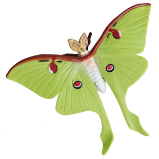 林畅模玩儿童昆虫玩具月神蛾模型长尾大蚕蛾水清蛾飞蛾子仿真动物