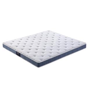 美国TLK特蕾卡15cm弹簧老人少年护腰护脊偏硬床垫1.8*2米卡尔床垫