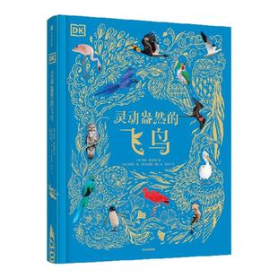 【7-15岁】DK灵动盎然的飞鸟 本 霍尔著 中信出版社图书 正版