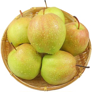 山西隰县玉露香梨现摘梨子新鲜水果当季香梨雪梨大果整箱装