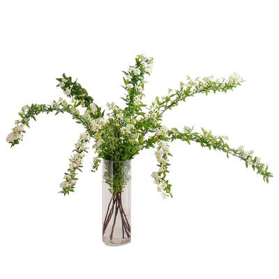 小手球鲜切花带花苞发货花期超长