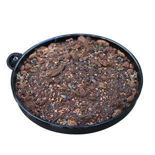 美莳多肉专用颗粒土植物小苗叶插营养进口泥炭赤玉土铺面石通用型