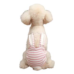 狗生理裤小狗泰迪柯基大姨妈例假月经卫生巾宠物背带宠物