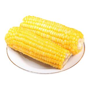 真空传统老式笨玉米即食10根山东农家免蒸煮熟西沂州代餐健身