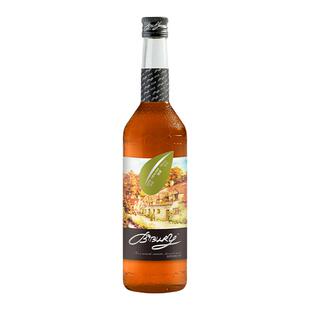 BIBURY/拜伯里 冰吸薄荷焦糖香草风味糖浆咖啡奶茶拿铁水果茶商用