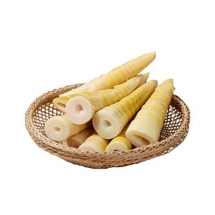 临安雷笋新鲜竹笋商用笋天目山大竹笋鲜笋尖火锅食材清汁笋脆鲜笋