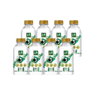 【下拉详情领优惠】伊利金典鲜牛奶瓶装全脂高钙巴氏杀菌低温牛奶