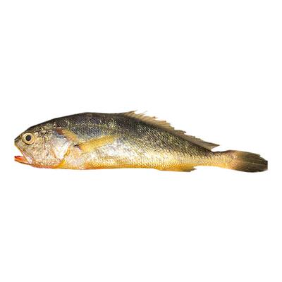 4斤装野生小黄鱼蒜瓣肉新鲜