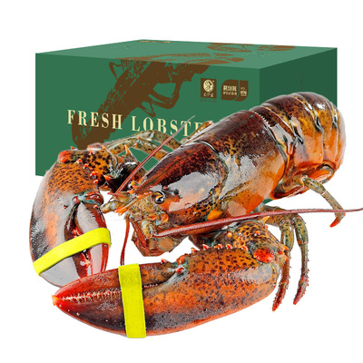 保活到家波龙礼盒2只更划算